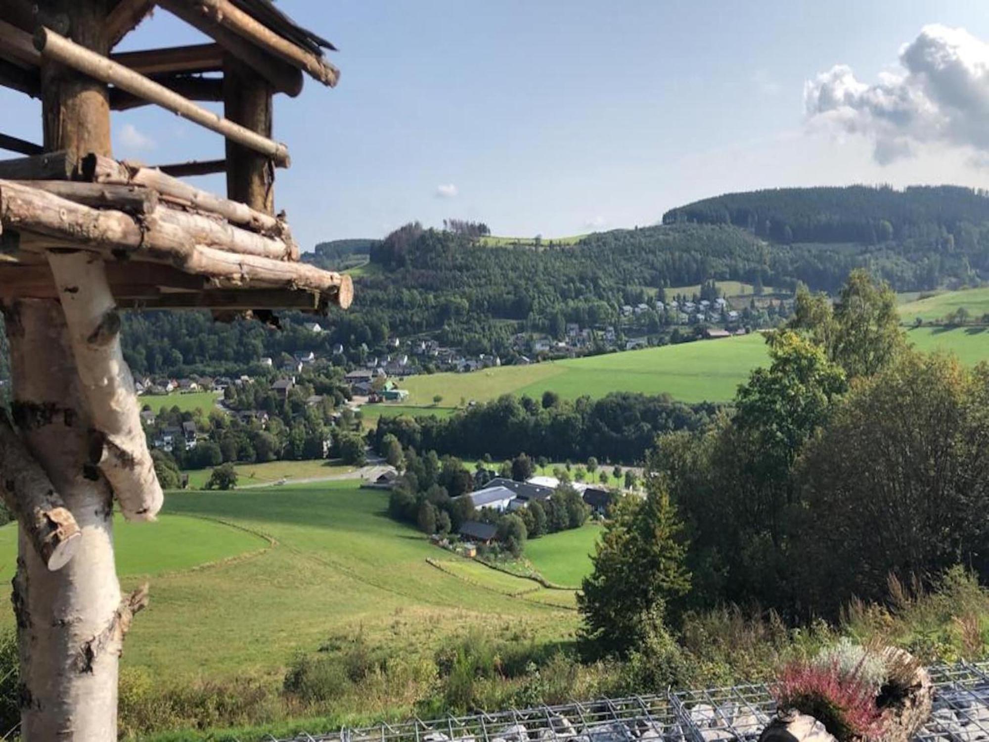 Large Detached Holiday Home In Willingen With Garden Buitenkant foto